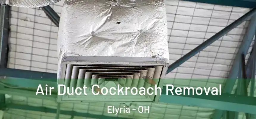Air Duct Cockroach Removal Elyria - OH