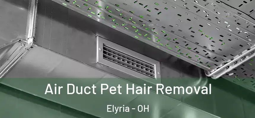 Air Duct Pet Hair Removal Elyria - OH