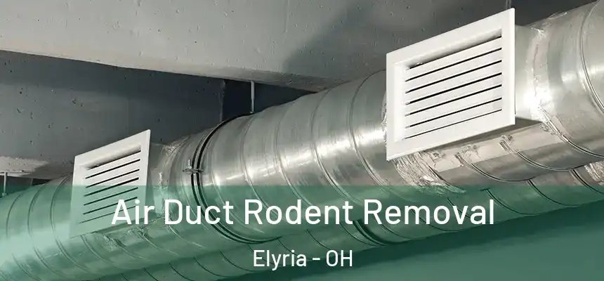 Air Duct Rodent Removal Elyria - OH