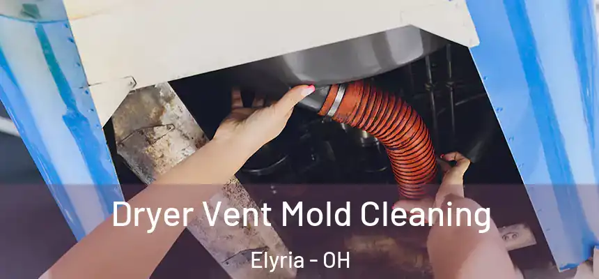 Dryer Vent Mold Cleaning Elyria - OH