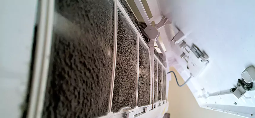 Preventive Air Duct Bacteria Removal in Elyria