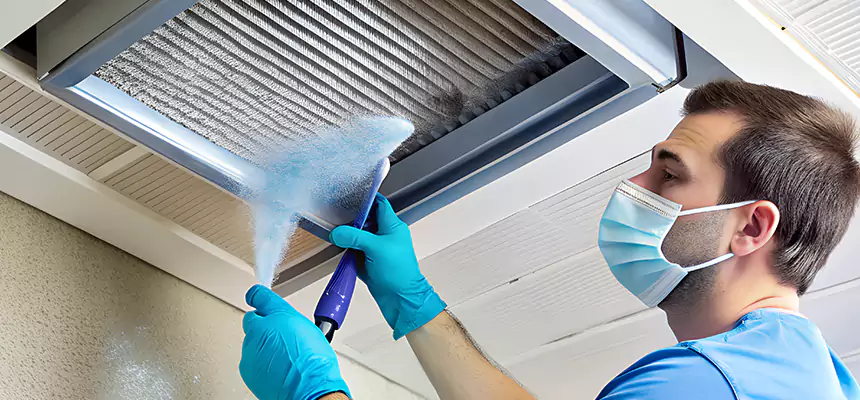 Proactive Dryer Vent & Auxiliary Duct Pollen Cleanup in Elyria, OH