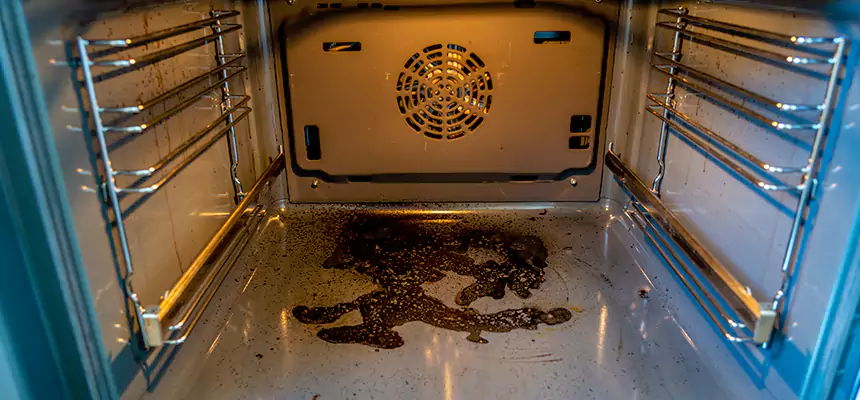 Our Dryer Vent Mold Cleaning Services in Elyria, OH