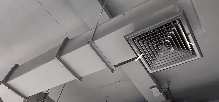 Our Pest Removal From Ducts Services in Elyria, OH