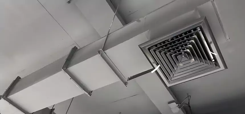 Our Rodent Droppings In Vents Services in Elyria, OH