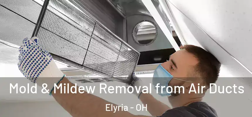 Mold & Mildew Removal from Air Ducts Elyria - OH