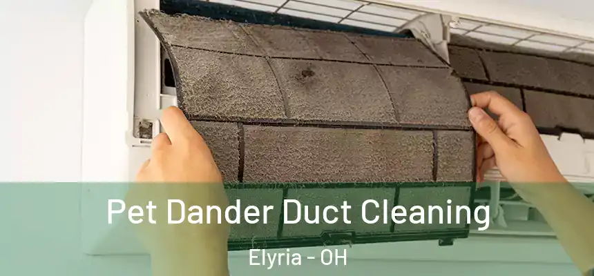 Pet Dander Duct Cleaning Elyria - OH