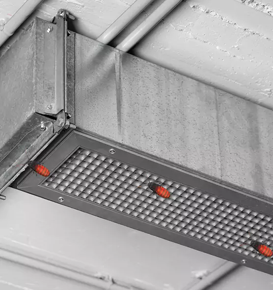 About Air Duct Cockroach Removal in Elyria, OH