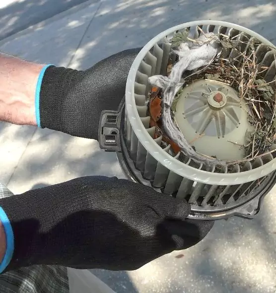 About Air Duct Rat Removal in Elyria, OH