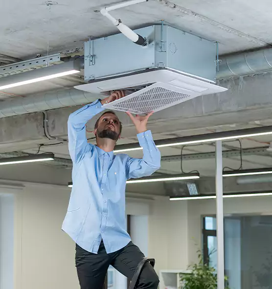 Advanced Rodent Droppings In Vents in Elyria, OH