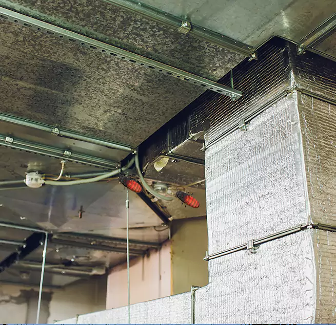 Why Homeowners & Businesses Trust Us Elyria, OH?