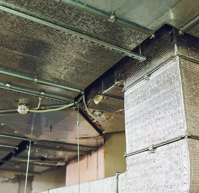 Why Homeowners & Businesses Trust Us in Elyria, OH?